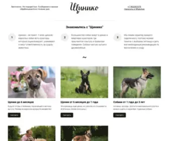 Schiniko.ru(Взять щенка или взрослую собаку бесплатно в добрые руки) Screenshot