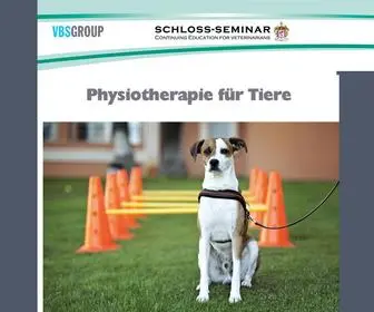 SChloss-Seminar.de(Schloss-Seminar Fortbildungskurse f) Screenshot