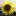 SChmerzzentrum-Granata.com Favicon