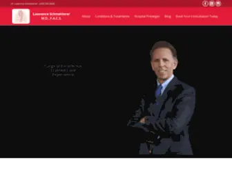 SChmetterermd.com(Dr. Lawrence Schmetterer) Screenshot