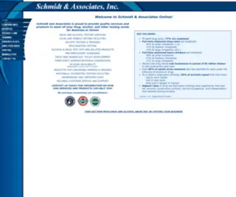 SChmidtandassociatesonline.com(Schmidt & Associates Online) Screenshot