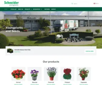 SChneiderbv.nl(Schneider BV) Screenshot