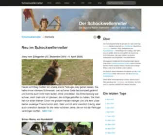 Schockwellenreiter.de(Startseite) Screenshot