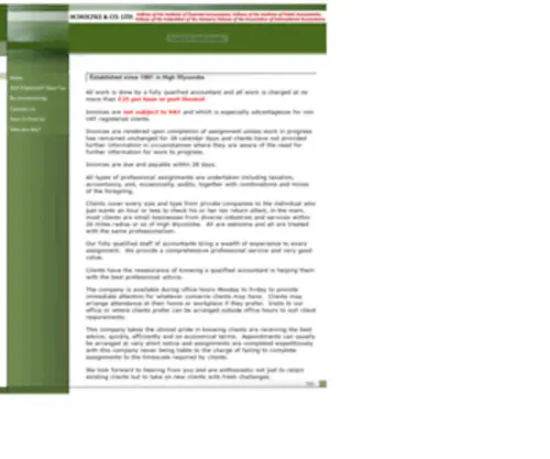 Scholtke.com(Accountants high wycombe) Screenshot