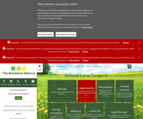 Schoollanesurgery.co.uk(School Lane Surgery) Screenshot