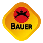 SChroedel-Ideal.de Favicon