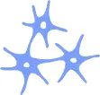 Sciences-Cognitives.fr Favicon