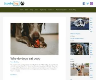 Scooby-Dooo.com(ColorMag) Screenshot