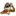 Scootersjungle.com Favicon