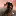 Scopebuggy.com Favicon