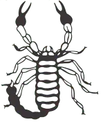 Scorpius.no Favicon