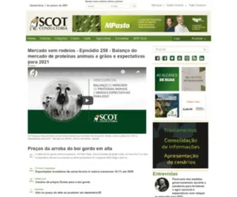 Scotconsultoria.com.br(Scot Consultoria) Screenshot