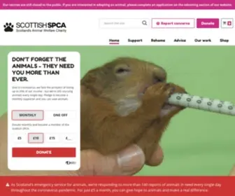 Scottishspca.org(Scottish Society for Prevention of Cruelty to Animals) Screenshot