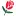 Scottsflowers.com Favicon