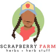 Scrapberryfarm.org Favicon