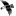Screamingeagle.com Favicon