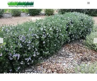 Screenhedgeplants.com.au(Hedging and Screening Plants) Screenshot