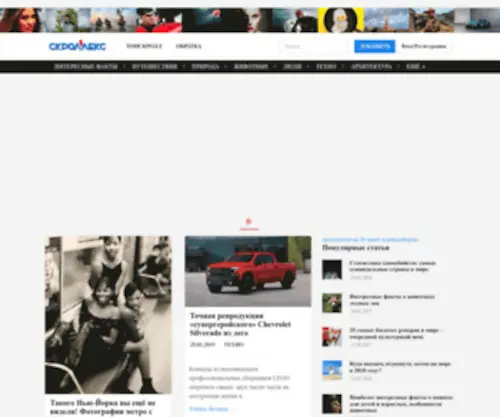 Scrollex.ru(скроллекс.ру) Screenshot