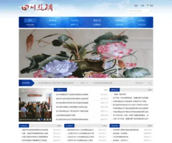 Scsilk.com(四川丝绸网) Screenshot