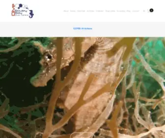 Scubadivingjersey.com(Bouley Bay Dive Centre) Screenshot