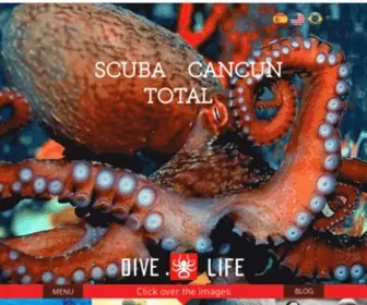 Scubatotal.com(Scuba Total Cancun) Screenshot