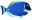 Scubaworld.net Logo