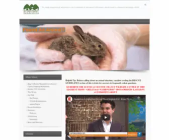 SCWC.org(Second Chance Wildlife Center) Screenshot