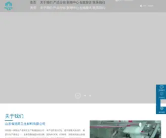 SD-Winson.com(山东省润荷卫生材料有限公司) Screenshot