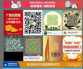 SD1EDV.cn(上海推广优化公司) Screenshot