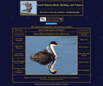Sdakotabirds.com(South Dakota Birds) Screenshot