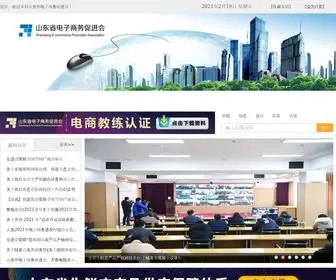 Sdepa.org.cn(山东省电子商务促进会) Screenshot