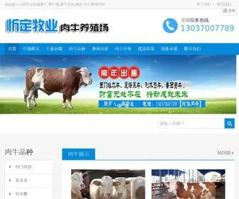 SDFHYZC.com(养牛场) Screenshot