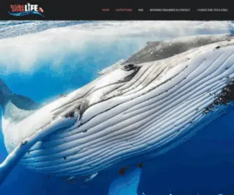 Sdlexpeditions.com(Scuba Diver Life Expeditions) Screenshot