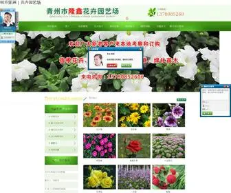 SDQzlongXin.com(Fun88网) Screenshot