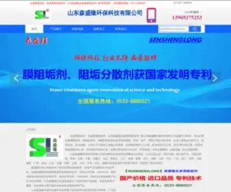 SDSSL.net(山东森盛隆环保科技有限公司) Screenshot