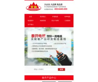 SDTKDL.com(山东泰开电缆有限公司) Screenshot