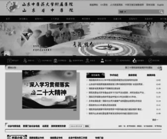 SDZYDFY.com(山东中医药大学附属医院) Screenshot