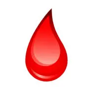 Seabb.org Favicon