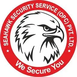 Seahawksecurity.services Favicon