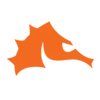 Seahorsesoccer.com Logo