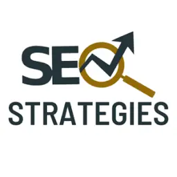 Searchengineoptimizationstrategies.com Favicon