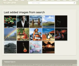 Searchpic.net(Try the best images search tool of) Screenshot