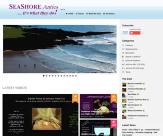 Seashoreantics.com(SeaShore Antics) Screenshot