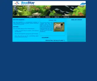 Seastaraquarium.com(Sea star aquarium) Screenshot