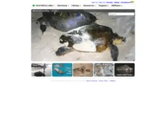 Seaturtle.org(Global Sea Turtle Network) Screenshot