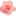 Sebb13.com Favicon