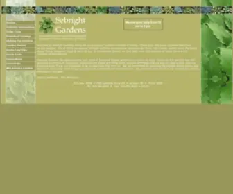 Sebrightgardens.com(Sebright Gardens) Screenshot