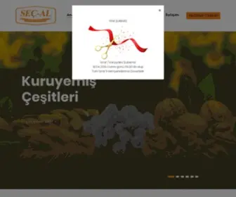 Sec-AL.com.tr(Sec AL) Screenshot