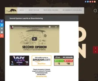 Secondopinionfilm.com(Second Opinion) Screenshot