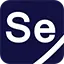 Securityelements.com Favicon